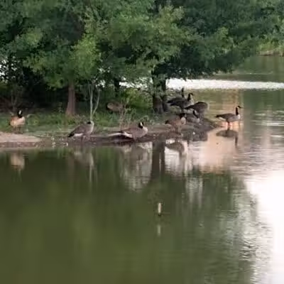 Tulsa Park - Oklahoma City, OK