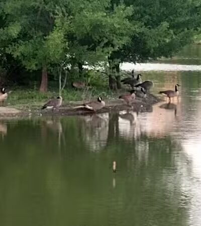 Tulsa Park - Oklahoma City, OK