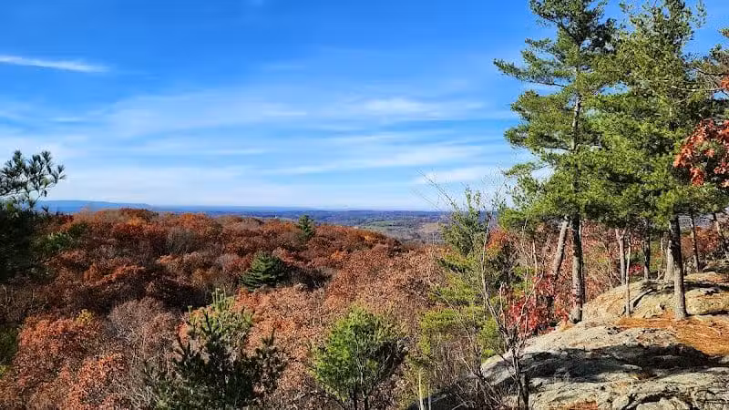 Wilson M. Powell Wildlife Sanctuary - Old Chatham, NY