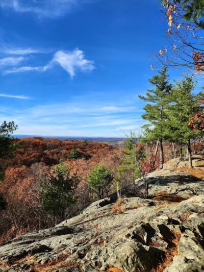 Wilson M. Powell Wildlife Sanctuary - Old Chatham, NY
