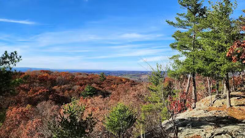 Wilson M. Powell Wildlife Sanctuary - Old Chatham, NY
