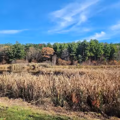 Wilson M. Powell Wildlife Sanctuary - Old Chatham, NY