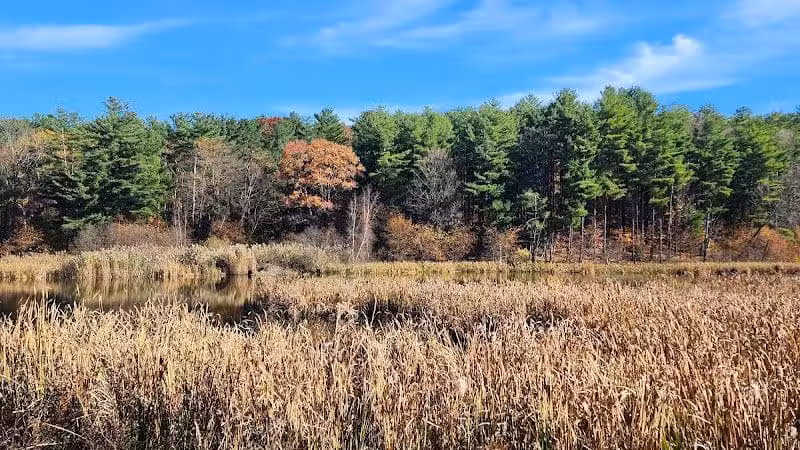 Wilson M. Powell Wildlife Sanctuary - Old Chatham, NY