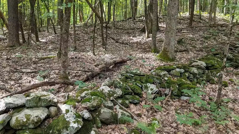 Wilson M. Powell Wildlife Sanctuary - Old Chatham, NY