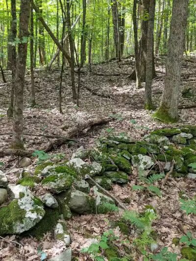 Wilson M. Powell Wildlife Sanctuary - Old Chatham, NY
