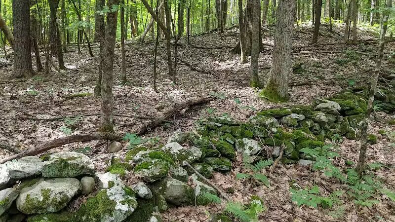 Wilson M. Powell Wildlife Sanctuary - Old Chatham, NY