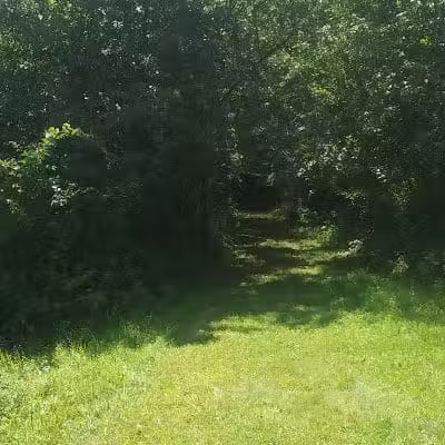 Wilson M. Powell Wildlife Sanctuary - Old Chatham, NY