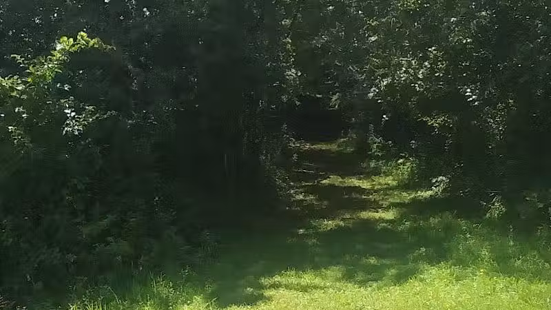 Wilson M. Powell Wildlife Sanctuary - Old Chatham, NY