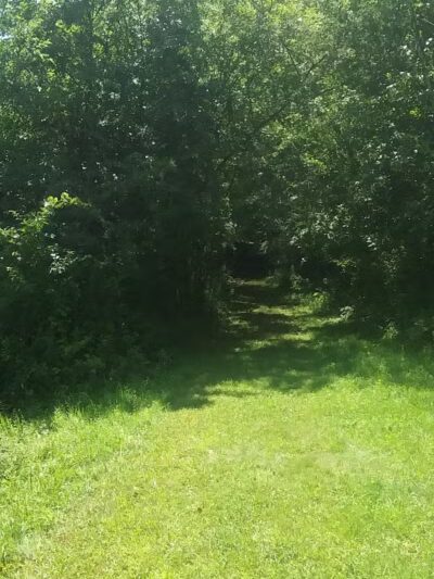 Wilson M. Powell Wildlife Sanctuary - Old Chatham, NY