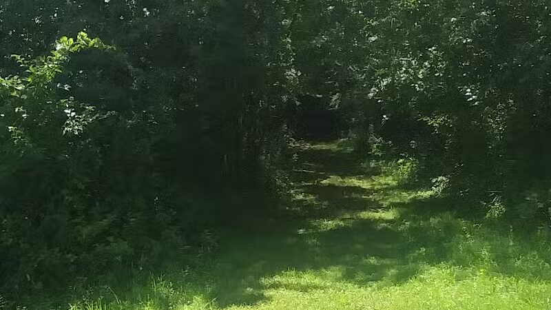 Wilson M. Powell Wildlife Sanctuary - Old Chatham, NY