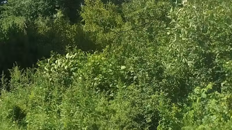 Wilson M. Powell Wildlife Sanctuary - Old Chatham, NY