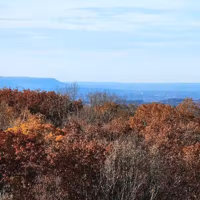 Wilson M. Powell Wildlife Sanctuary - Old Chatham, NY