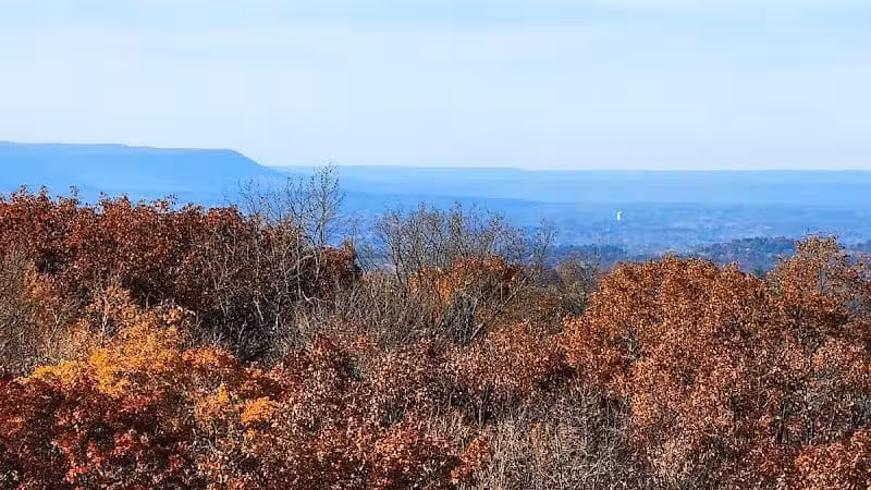 Wilson M. Powell Wildlife Sanctuary - Old Chatham, NY