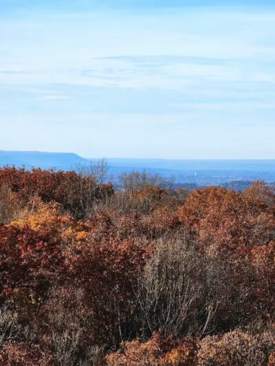 Wilson M. Powell Wildlife Sanctuary - Old Chatham, NY