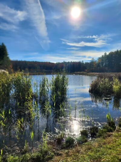 Wilson M. Powell Wildlife Sanctuary - Old Chatham, NY
