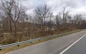 Old Fort Dog Park - Old Fort, NC