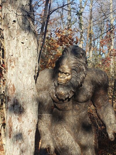 Rock City Park - Olean, NY