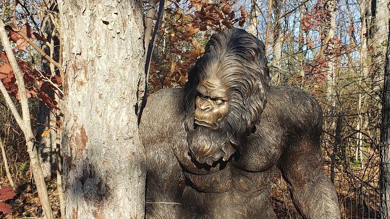 Rock City Park - Olean, NY