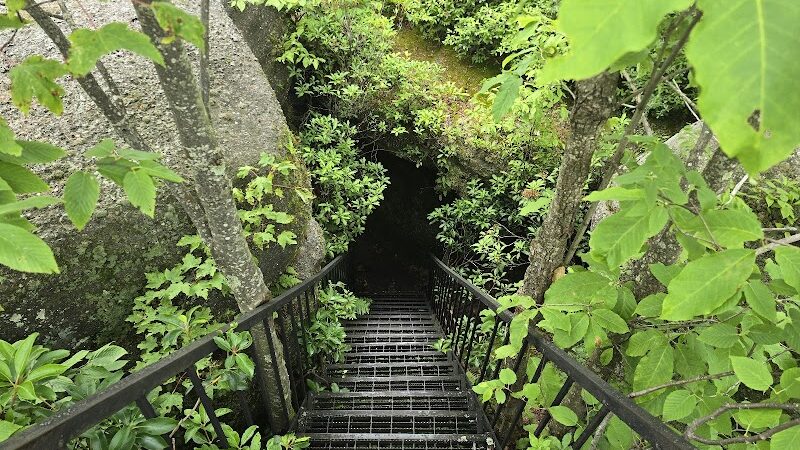 Rock City Park - Olean, NY