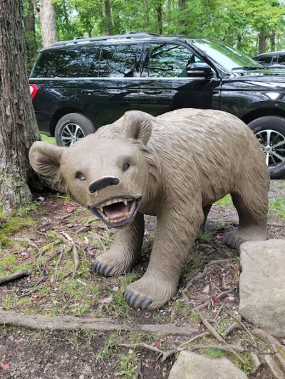 Rock City Park - Olean, NY