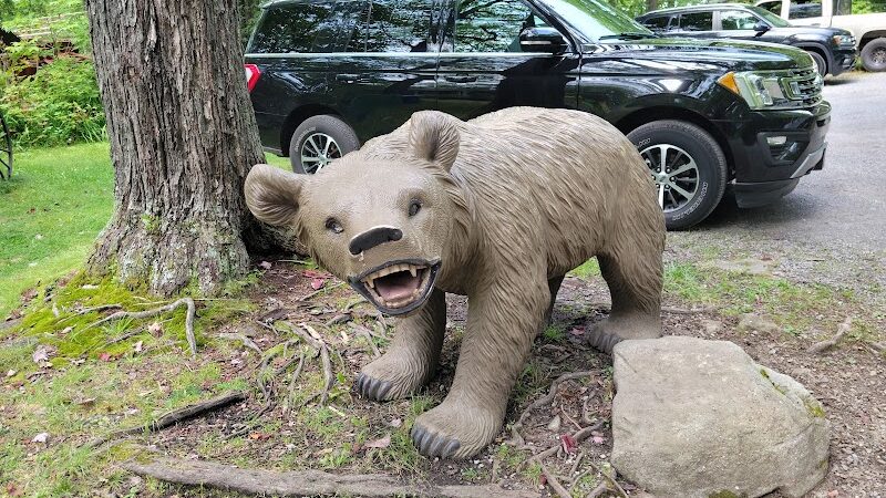 Rock City Park - Olean, NY
