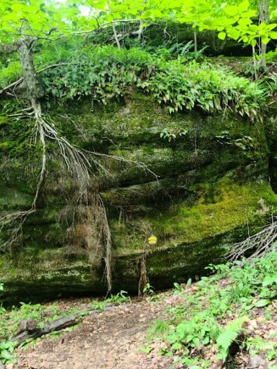 Rock City Park - Olean, NY