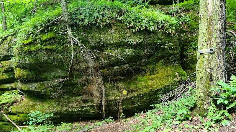Rock City Park - Olean, NY