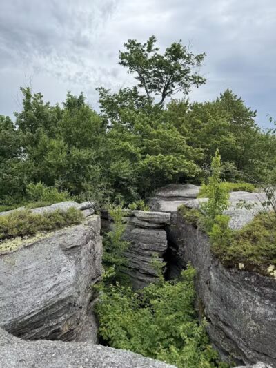 Rock City Park - Olean, NY