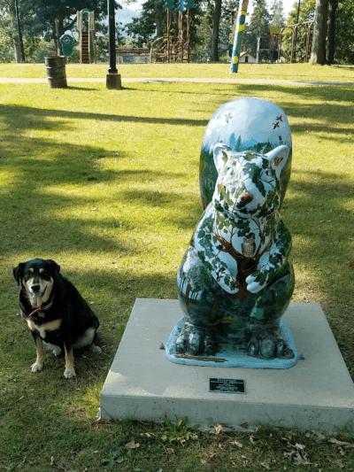 Oak Hill Park - Olean, NY