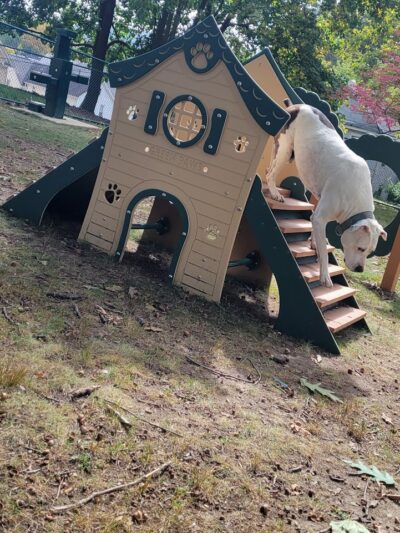 Oak Hill Park - Olean, NY