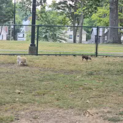 Oak Hill Park - Olean, NY