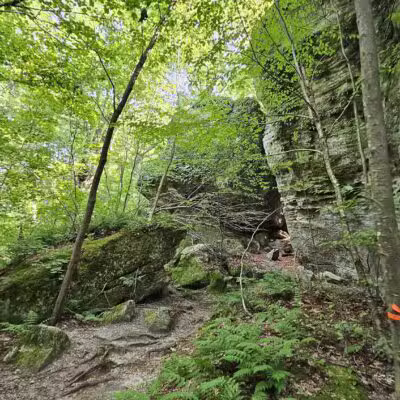 Rock City Park - Olean, NY