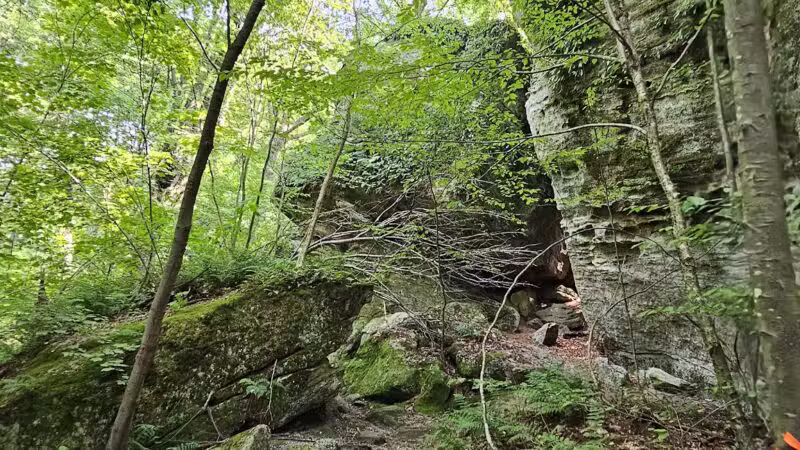 Rock City Park - Olean, NY