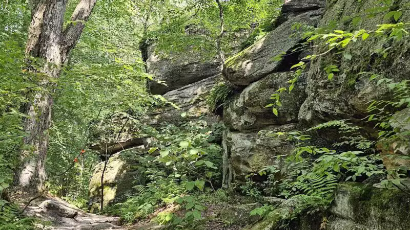 Rock City Park - Olean, NY