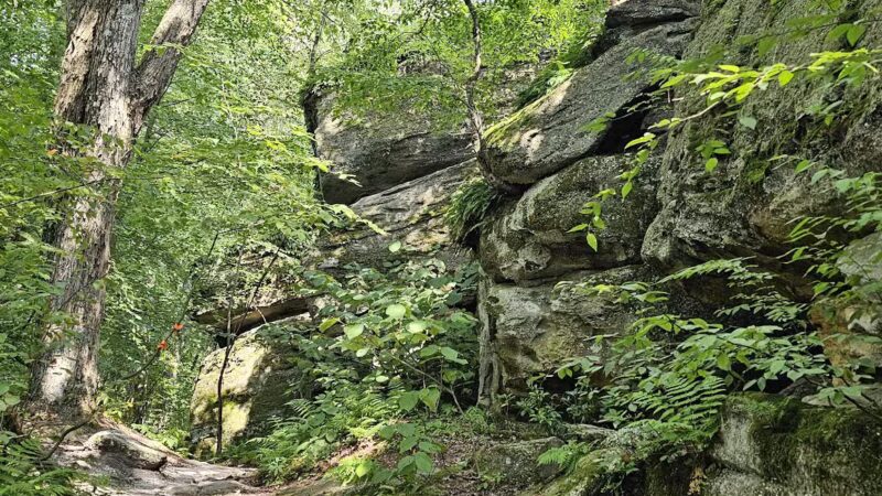 Rock City Park - Olean, NY