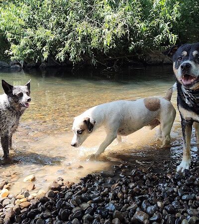 Deschutes River Ranch - Olympia, WA