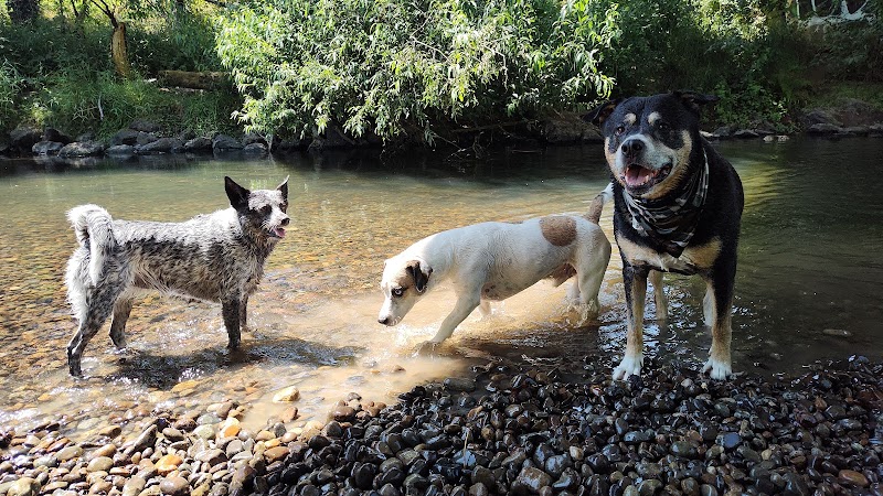 Deschutes River Ranch - Olympia, WA