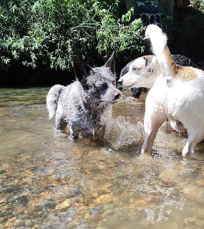 Deschutes River Ranch - Olympia, WA
