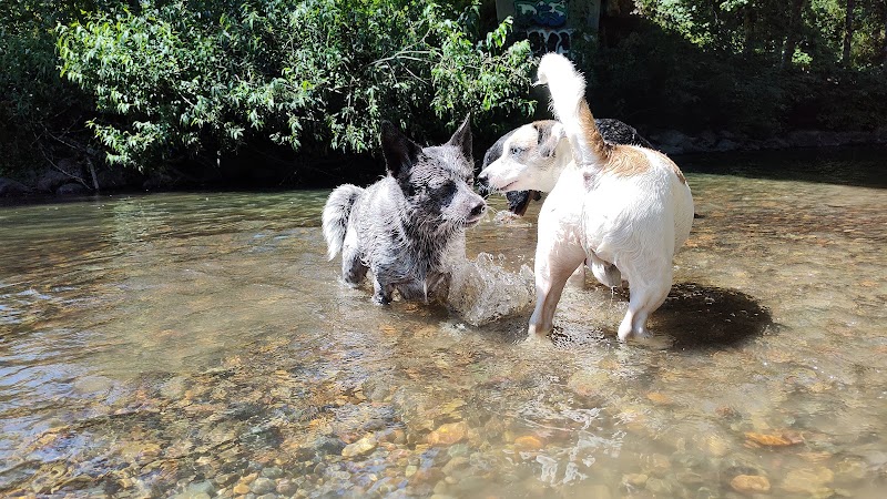 Deschutes River Ranch - Olympia, WA