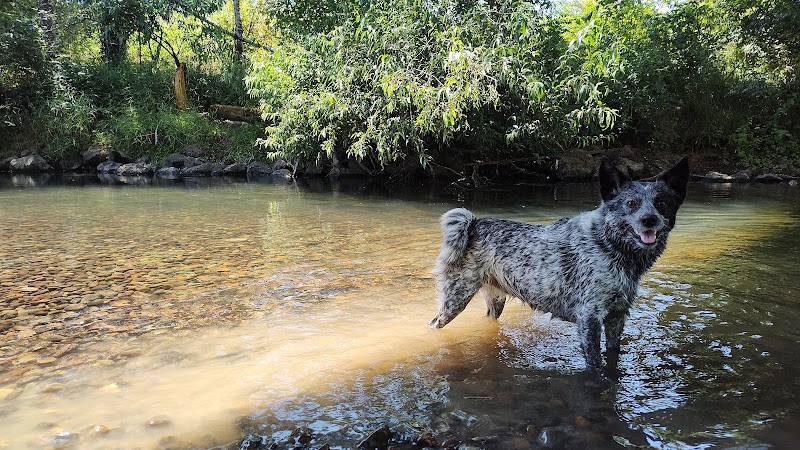Deschutes River Ranch - Olympia, WA