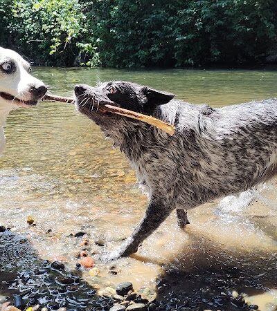 Deschutes River Ranch - Olympia, WA