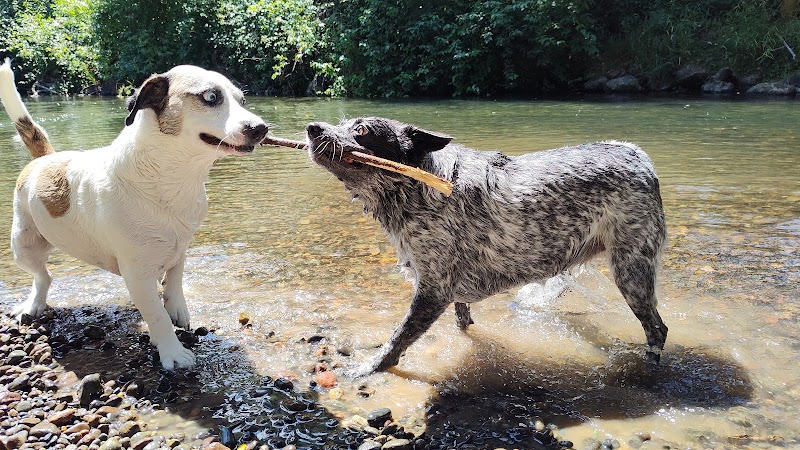 Deschutes River Ranch - Olympia, WA