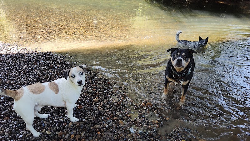 Deschutes River Ranch - Olympia, WA