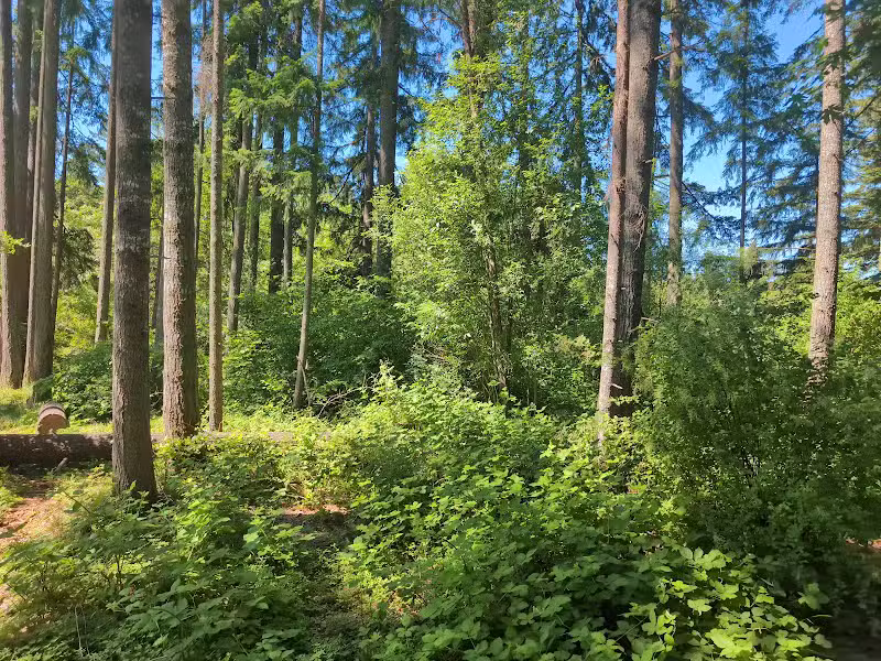 Evergreen Park