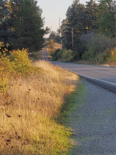 Greg J. Cuoio Community Park - Olympia, WA