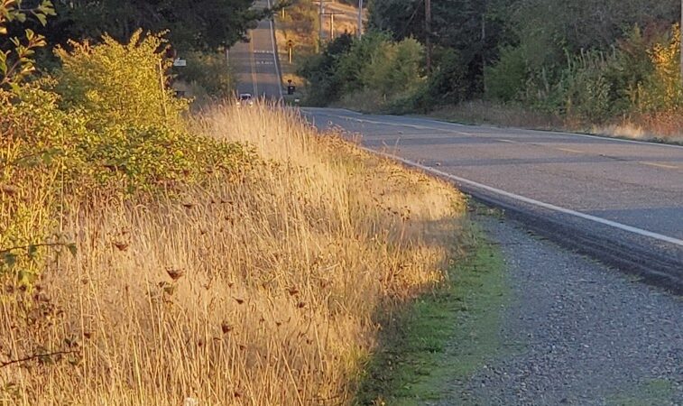Greg J. Cuoio Community Park - Olympia, WA