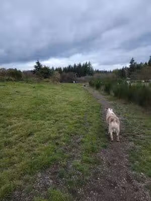 McLane Off-Leash Dog Park