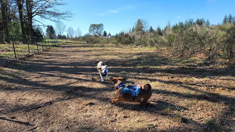 McLane Off-Leash Dog Park