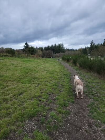 McLane Off-Leash Dog Park