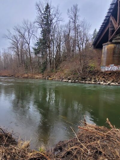 Nisqually River Public Access - Olympia, WA